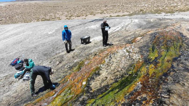 Los virus que se ocultan en el agua termal del Tatio comienzan a ser identificados