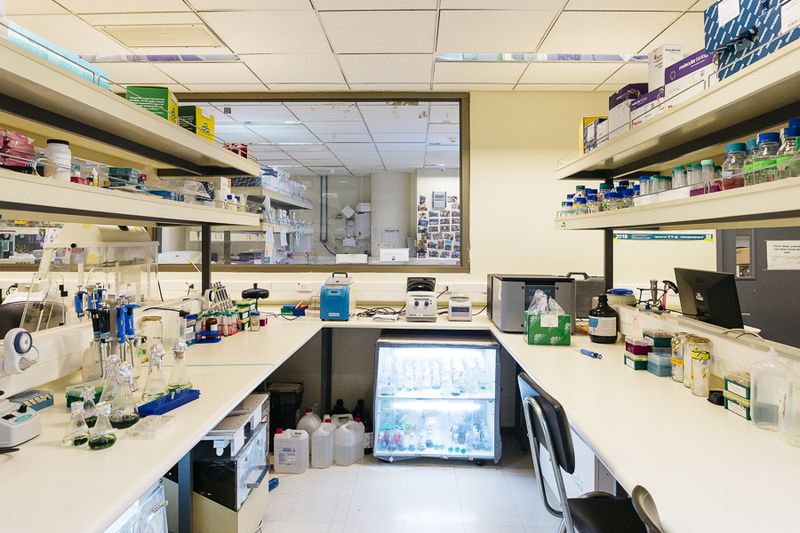 Revista_PaulaLaTercera